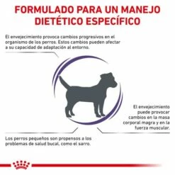 Royal Canin Nourriture Senior Consult Mature Small Dog 16 Royal Canin Nourriture Senior Consult Mature Small Dog -Miscota Soldes Boutique RC VET DRY DogMatConsSD CV 2 es ES 62fcc4bd14448 g