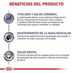 Royal Canin Nourriture Senior Consult Mature Small Dog 18 Royal Canin Nourriture Senior Consult Mature Small Dog -Miscota Soldes Boutique RC VET DRY DogMatConsSD CV 4 es ES 62fcc4bf2b36e g