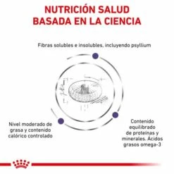 Royal Canin Tourteau NeuteFilet Adult Large Dog -Miscota Soldes Boutique RC VET DRY DogNeutADLD CV 3 es ES 62fcc5013e340 g