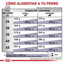 Royal Canin Tourteau NeuteFilet Adult Large Dog -Miscota Soldes Boutique RC VET DRY DogNeutADLD CV 6 es ES 62fcc50354d76 g