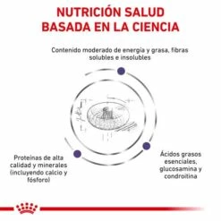 Royal Canin Tourteau Neutered Junior Large Dog -Miscota Soldes Boutique RC VET DRY DogNeutJULD CV 3 es ES 62fcc573b6332 g