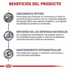 Royal Canin Tourteau Neutered Junior Large Dog -Miscota Soldes Boutique RC VET DRY DogNeutJULD CV 4 es ES 62fcc574ca5f1 g