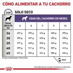 Royal Canin Tourteau Neutered Junior Large Dog -Miscota Soldes Boutique RC VET DRY DogNeutJULD CV 6 es ES 62fcc575c758a g