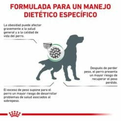 Royal Canin Nourriture Satiety Support Canine -Miscota Soldes Boutique RC VET DRY DogSatietyWM CV Eretailkit 2 es ES 62fcdea009367 g