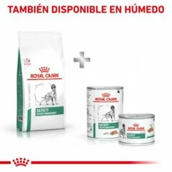 Royal Canin Nourriture Satiety Support Canine -Miscota Soldes Boutique RC VET DRY DogSatietyWM CV Eretailkit 7 es ES 62fcdea797da5 g