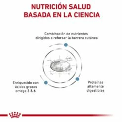 Royal Canin Nourriture Skin Care Canine -Miscota Soldes Boutique RC VET DRY DogSkinCare CV Eretailkit 2 es ES 62fcc0049e165 g