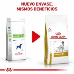 Royal Canin Nourriture Urinary S/O Canine 15 Royal Canin Nourriture Urinary S/O Canine -Miscota Soldes Boutique RC VET DRY DogUrinarySO CV Eretailkit 1 es ES 62fcc6aae35ce g