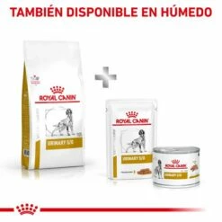Royal Canin Nourriture Urinary S/O Canine 20 Royal Canin Nourriture Urinary S/O Canine -Miscota Soldes Boutique RC VET DRY DogUrinarySO CV Eretailkit 6 es ES 62fcc6b2deee5 g