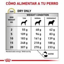 Royal Canin Vhn Dog Urinary Ageing+7 16 Royal Canin Vhn Dog Urinary Ageing+7 -Miscota Soldes Boutique RC VET DRY DogUrinarySOAGE CV Eretailkit 3 es ES 62fcc6d6eccb1 g