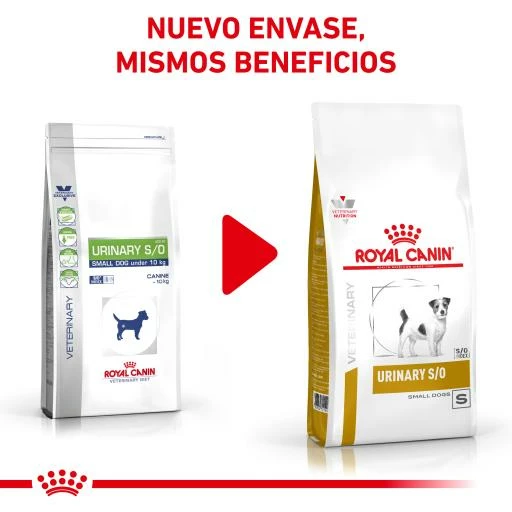 Royal Canin Nourriture Urinary S/O Small Dog 4 Royal Canin Nourriture Urinary S/O Small Dog – Image 2