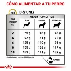 Royal Canin Nourriture Urinary S/O Small Dog 15 Royal Canin Nourriture Urinary S/O Small Dog -Miscota Soldes Boutique RC VET DRY DogUrinarySOSD CV Eretailkit 4 es ES 62fcc72921a68 g