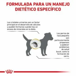Royal Canin Nourriture Urinary S/O Small Dog 18 Royal Canin Nourriture Urinary S/O Small Dog -Miscota Soldes Boutique RC VET DRY DogUrinarySOSD CV Eretailkit 7 es ES 62fcc72d16288 g