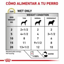 Royal Canin Urinary S/O Ageing +7 -Miscota Soldes Boutique RC VET WET DogUrinarySOAGE CV Eretailkit 2 es ES 62fcc78458ddb g