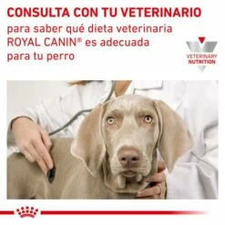Royal Canin Urinary S/O Ageing +7 -Miscota Soldes Boutique RC VET WET DogUrinarySOAGE CV Eretailkit 5 es ES 62fcc787b4f02 g