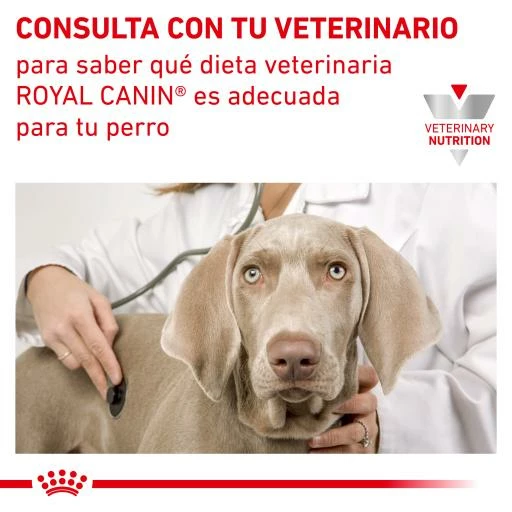 Royal Canin Urinary S/O 10 Royal Canin Urinary S/O – Image 8