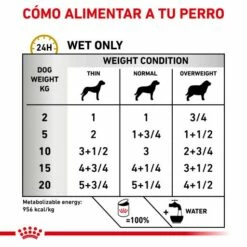 Royal Canin Nourriture Humide Urinary S/O Canine -Miscota Soldes Boutique RC VHN CanineUrinarySoLoafWet 200g CV BrandFlagship 3 es ES 64abadee969ff g