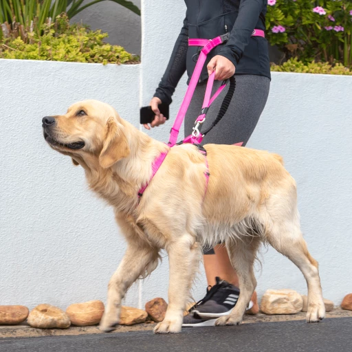 Rogz Courroie Handsfree Rouge 4 Rogz Courroie Handsfree Rouge – Image 2