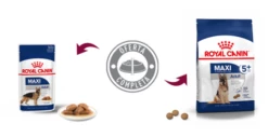 Royal Canin Maxi Adult Dog Food Pour Adultes Taille Grandes Races -Miscota Soldes Boutique SHN Maxi Adult 644002907e7c8 g