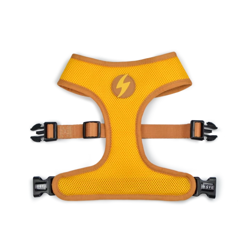 Dashi Harnais Snooze Neo 4 Dashi Harnais Snooze Neo – Image 2