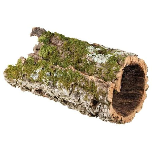 Trixie Tube Liège 6 Trixie Tube Liège – Image 4