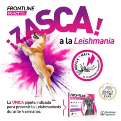 Frontline Pipettes Tri Act Race Moyenne 10-20 Kg -Miscota Soldes Boutique VisualTRI 6267f6314c4fb g