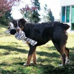 KONG Wubba No Stuff Zebra Jouet Pour Chiens 6 KONG Wubba No Stuff Zebra Jouet Pour Chiens -Miscota Soldes Boutique WFZ13 LIFE 1 63eb493a7dbfd g
