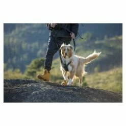 Rogz Arnés Explore -Miscota Soldes Boutique arnes explore para perro 63f4b7e7b98fc g