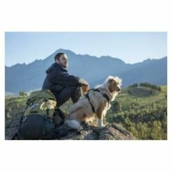 Rogz Arnés Explore -Miscota Soldes Boutique arnes explore perro 63f4b7bda063d g