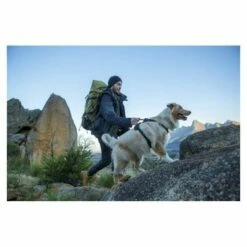 Rogz Arnés Explore -Miscota Soldes Boutique arnes explore rogz 63f4b7d551463 g