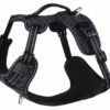 Rogz Arnés Explore 2 Rogz Arnés Explore -Miscota Soldes Boutique arnes explore 1 g