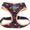 FuzzYard Harnais Fabmingo 2 FuzzYard Harnais Fabmingo -Miscota Soldes Boutique arnes fabmingo 1 g