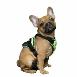 Julius K9 Arnes IDC Néon Longwalk -Miscota Soldes Boutique arnes idc neon julius 64787bdf060db g