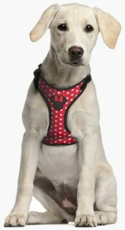 For Fan Pets Harnais Minnie -Miscota Soldes Boutique arnes minnie 11 7 g