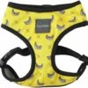 FuzzYard Harnais Monkey Mania Pour Chien -Miscota Soldes Boutique arnes monkey mania 1 g