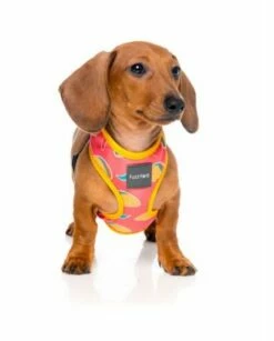 FuzzYard Harnais Pour Chien Hey Esse -Miscota Soldes Boutique arnes para perro hey esse 2 g