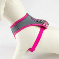 For Fan Pets Harnais Pour Chien Wonder Woman 11 For Fan Pets Harnais Pour Chien Wonder Woman -Miscota Soldes Boutique arnes para perros wonder woman 6 4 g