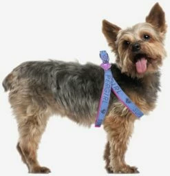 For Fan Pets Harnais Supergirl/ Petral 14 For Fan Pets Harnais Supergirl/ Petral -Miscota Soldes Boutique arnes petral supergirl 11 8 g