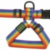 Bub's Petral Arc-en-ciel -Miscota Soldes Boutique arnes rainbow 25 mm 1 g