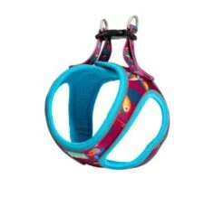 Freedog Harnais Pour Chien Tucan -Miscota Soldes Boutique arnes tucan para perro 6491c2b098975 g