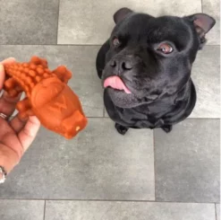 Whimzees Snack Dentaire Pour Chien 11.7cm En Forme De Crocodile -Miscota Soldes Boutique at the staffy harvey 62ce9ea864b4e g