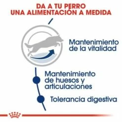 Royal Canin Tourteau Maxi Adult +5 -Miscota Soldes Boutique beneficios 1 6246c4dbd25f8 g