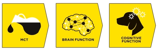 Pro Plan Veterinary Diets Pienso Nc Neurocare Para Perros Adultos Y Sénior 10 Pro Plan Veterinary Diets Pienso Nc Neurocare Para Perros Adultos Y Sénior – Image 8