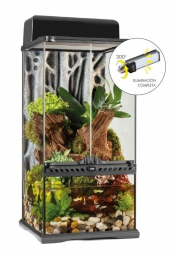 Exo Terra Ampoule Led 8w Tropical Forest 4500k 4 Exo Terra Ampoule Led 8w Tropical Forest 4500k – Image 2