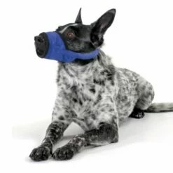 KVP Muselière Souple