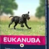 Eukanuba Chiot De Grande Race 1 Eukanuba Chiot De Grande Race -Miscota Soldes Boutique cachorro razas grandes 1 g