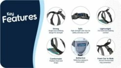 The Company Of Animals Harcèlement Pour Chiens Testé Contre L'Accident 17 The Company Of Animals Harcèlement Pour Chiens Testé Contre L'Accident -Miscota Soldes Boutique caracteristicas arnes coche 637dfda7e3fa1 g