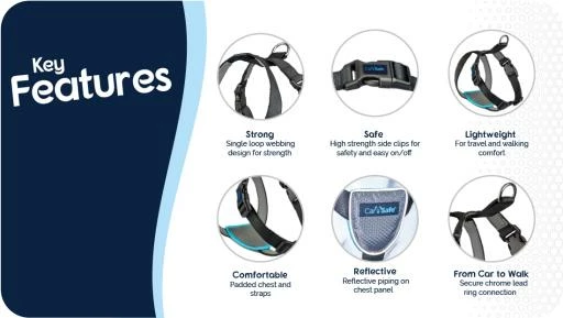 The Company Of Animals Harcèlement Pour Chiens Testé Contre L'Accident 9 The Company Of Animals Harcèlement Pour Chiens Testé Contre L'Accident – Image 7