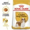 Royal Canin Cavalier King Charles Adult