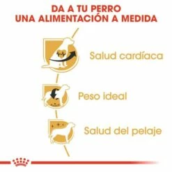 Royal Canin Cavalier King Charles Adult 12 Royal Canin Cavalier King Charles Adult -Miscota Soldes Boutique cavalier king charles adult 3 g