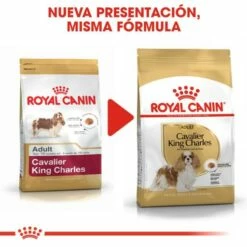 Royal Canin Cavalier King Charles Adult 15 Royal Canin Cavalier King Charles Adult -Miscota Soldes Boutique cavalier king charles adult 6 g